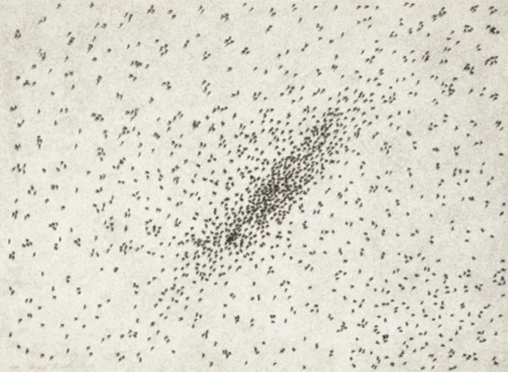 复数作品 Ruscha - Insect Slant (Ants) (from Reality & Paradoxes)