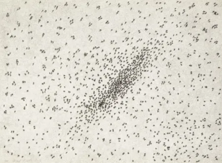 复数作品 Ruscha - Insect Slant (Ants) (from Reality & Paradoxes)