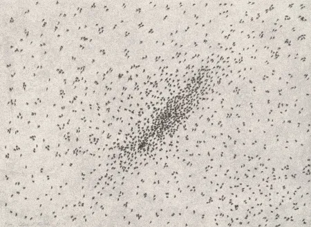石版画 Ruscha - Insect Slants (Ants)