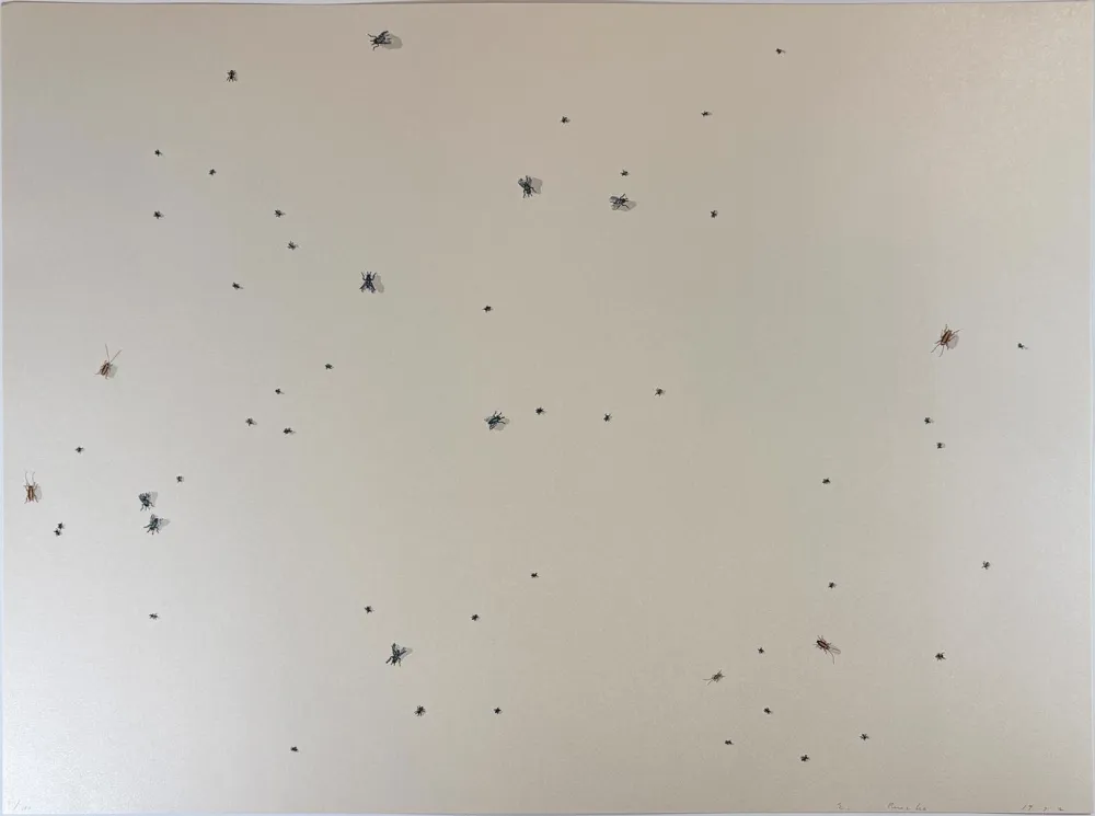 丝网印刷 Ruscha - Pearl Dust Combination from the Insects Portfolio