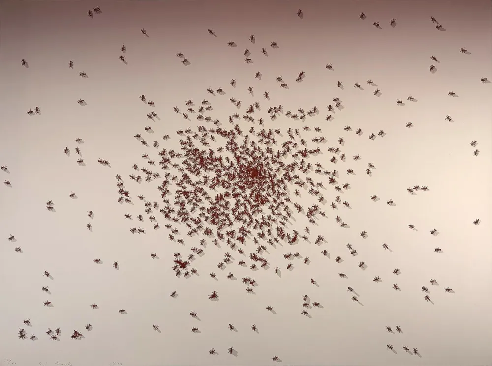 丝网印刷 Ruscha - Swarm of Red Ants from the Insects Portfolio