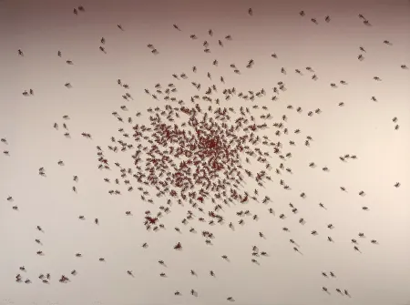 丝网印刷 Ruscha - Swarm of Red Ants from the Insects Portfolio