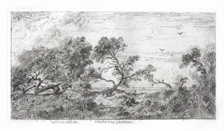 版画 Saint-Etienne (De) - Souvenir des Îles Baléares. Formentera.