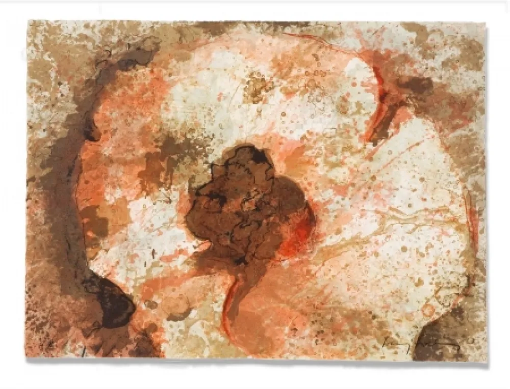 版画 Salinas - Hongo