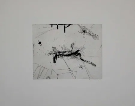 蚀刻飞尘法 Sandig - Untitled