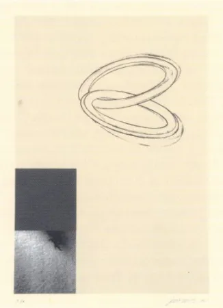 复数作品 Santibañez - Without title-6