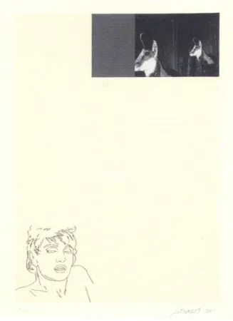 复数作品 Santibañez - Without title-7