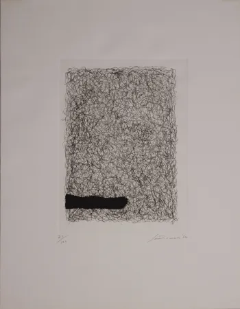 蚀刻飞尘法 Santomaso - Maglia interrotta