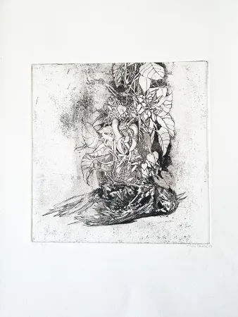 插图书 Saroni - Sei incisioni all'acquaforte e all'acquatinta.