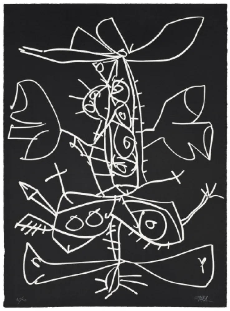 飞尘腐蚀法 Saura - Novisaurias