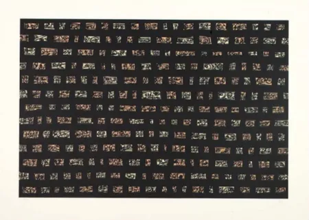 复数作品 Saura - Serie abierta