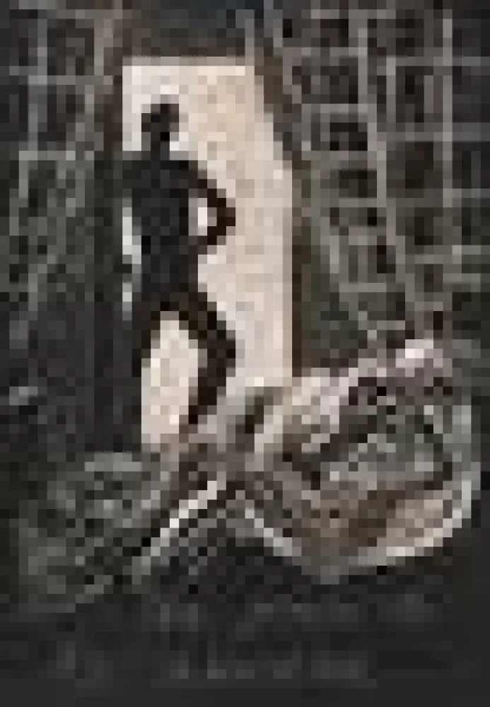 插图书 Savin  - Sept vieilles chansons