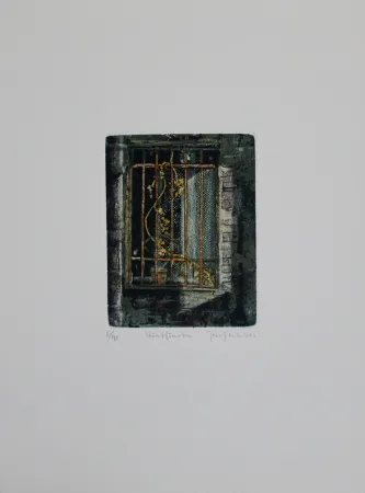 蚀刻飞尘法 Schibli - Höstfönsta 