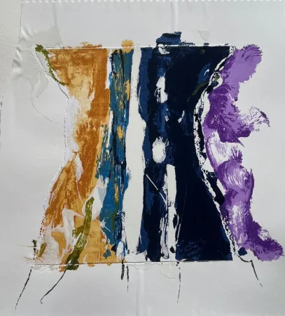 丝网印刷 Schifano - Anemico viola