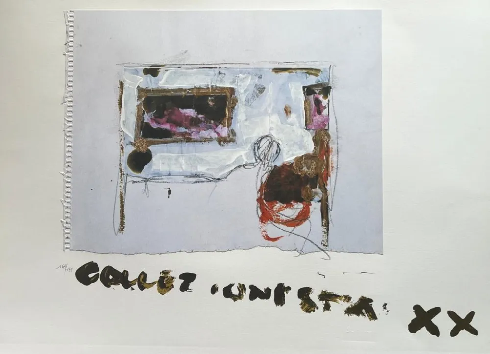 丝网印刷 Schifano - Collezionista