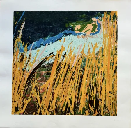 石版画 Schifano - Mario Schifano (1934–1998) - Campi da terra - Enamel screen printing - 1990