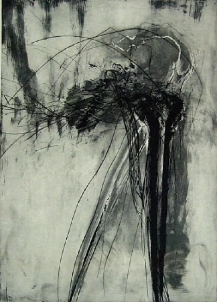 干刻版画 Schober - Richiamo