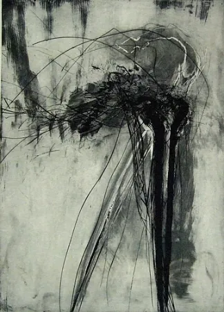 干刻版画 Schober - Richiamo