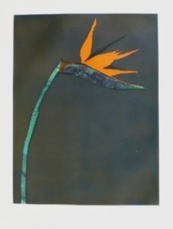 版画 Scholder - Flower at Barcelona