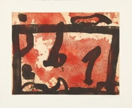 蚀刻飞尘法 Schumacher - 