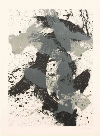 石版画 Scialoja - GEOGRAFIA