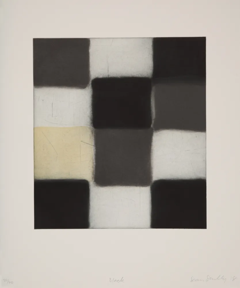 飞尘腐蚀法 Scully - 