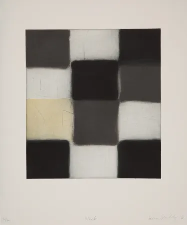 飞尘腐蚀法 Scully - 