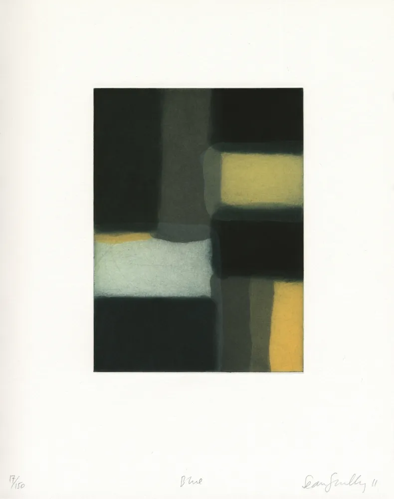 飞尘腐蚀法 Scully - 