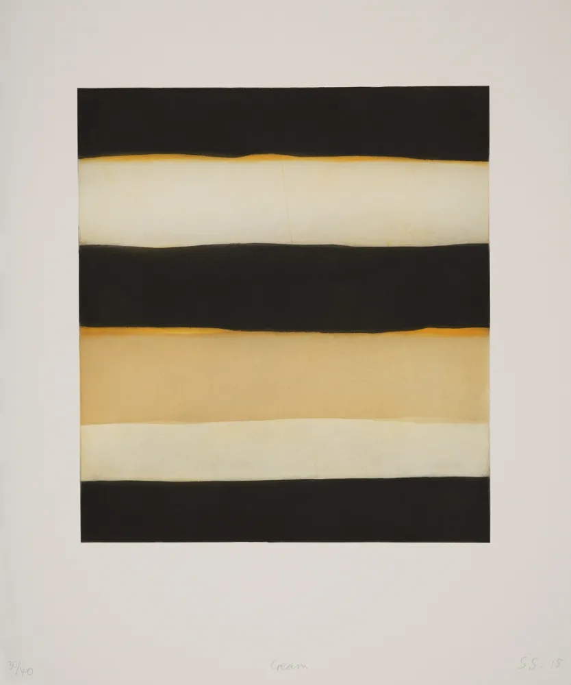 飞尘腐蚀法 Scully - 