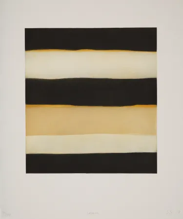 飞尘腐蚀法 Scully - 