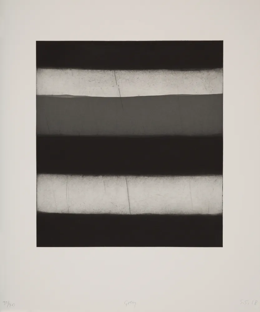 飞尘腐蚀法 Scully - 