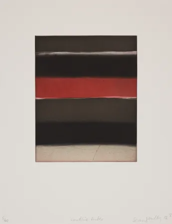 飞尘腐蚀法 Scully - 