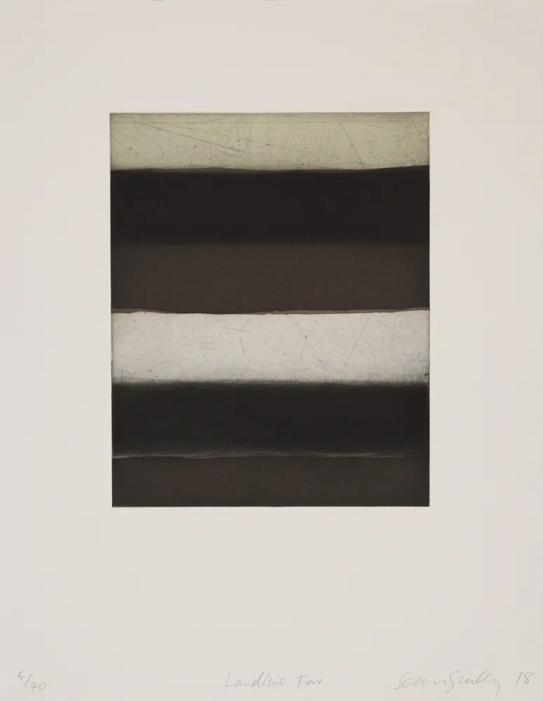 飞尘腐蚀法 Scully - 