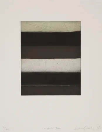 飞尘腐蚀法 Scully - 