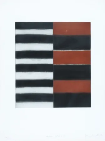 飞尘腐蚀法 Scully - 