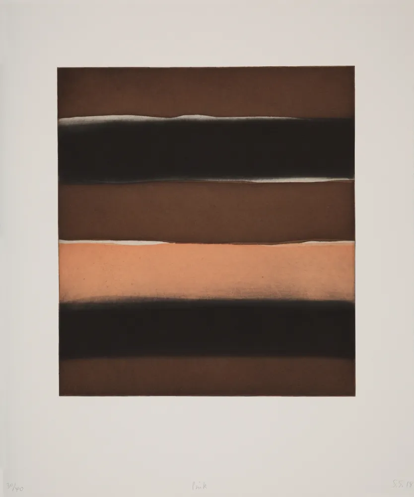 飞尘腐蚀法 Scully - Pink