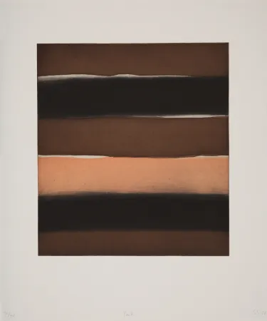 飞尘腐蚀法 Scully - Pink