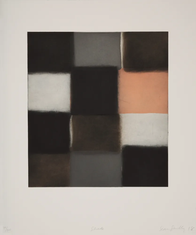 飞尘腐蚀法 Scully - 