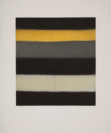 飞尘腐蚀法 Scully - Yellow