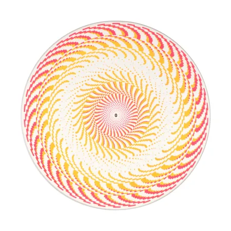 丝网印刷 Sedgley - Video Disque 05