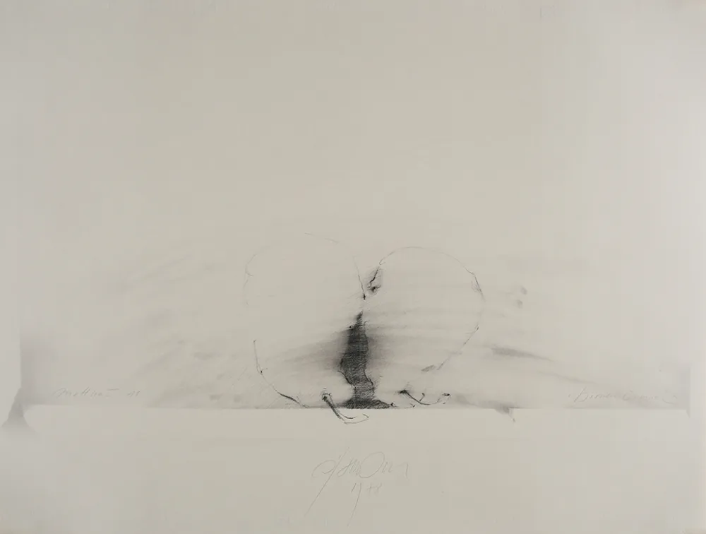 无技术 Sensen - Mettnau 11.  Birnen-vaginal