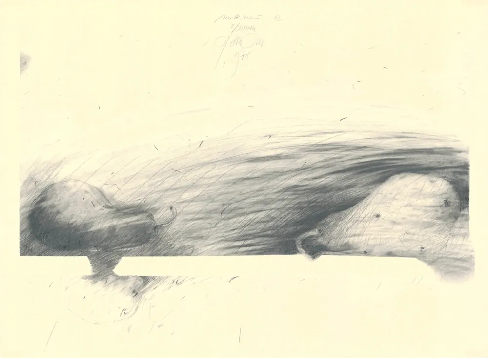 无技术 Sensen - Mettnau 12 — 2 Birne