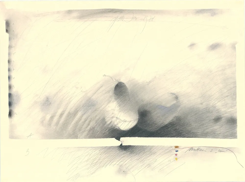 无技术 Sensen - Mettnau 2 — Birne