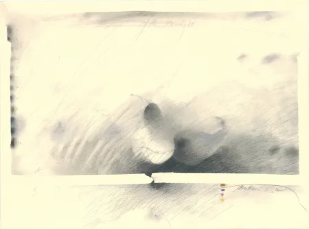 无技术 Sensen - Mettnau 2 — Birne