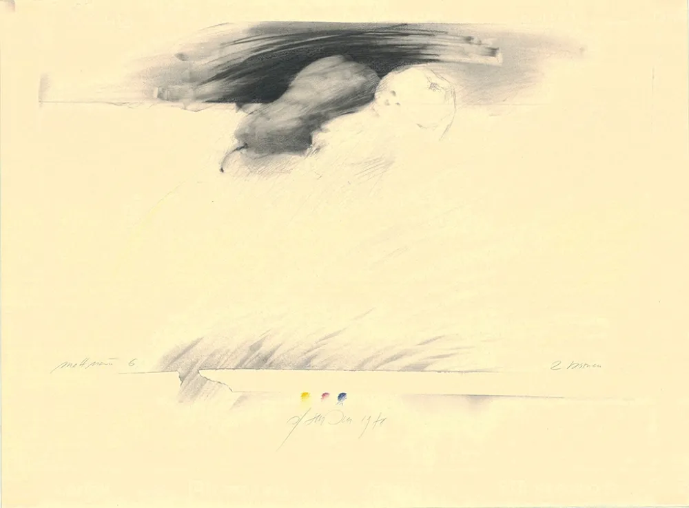 无技术 Sensen - Mettnau 6— 2 Birnen