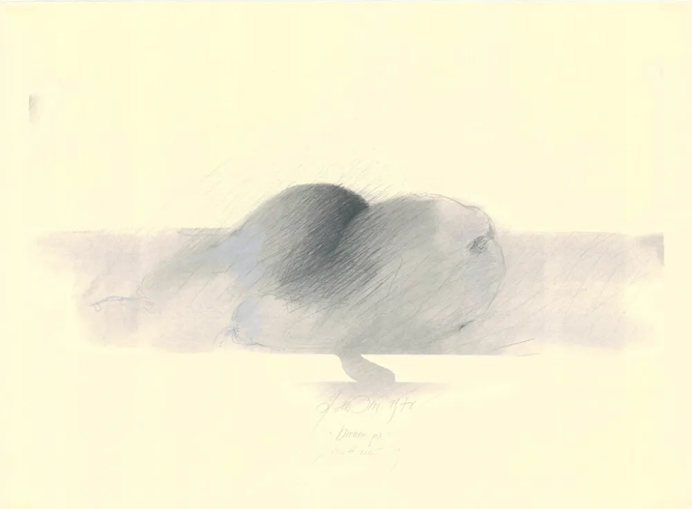 无技术 Sensen - Mettnau 9.  Birnen po