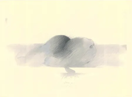 无技术 Sensen - Mettnau 9.  Birnen po