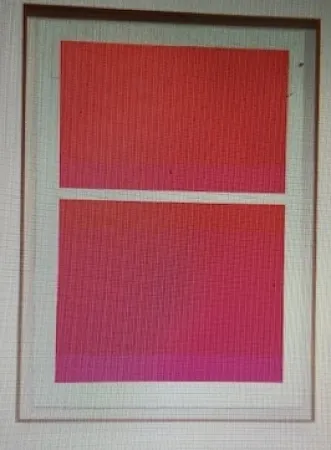 丝网印刷 Shepherd - State Theater on Bikini Pink