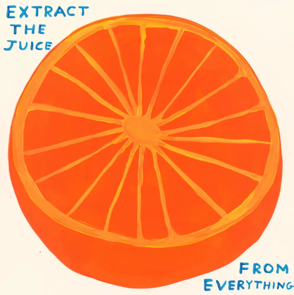 丝网印刷 Shrigley - Extract The Juice