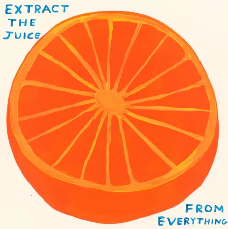 丝网印刷 Shrigley - Extract The Juice